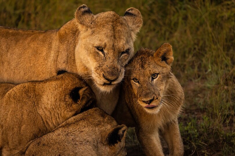 Ulusaba_Cliff 1030