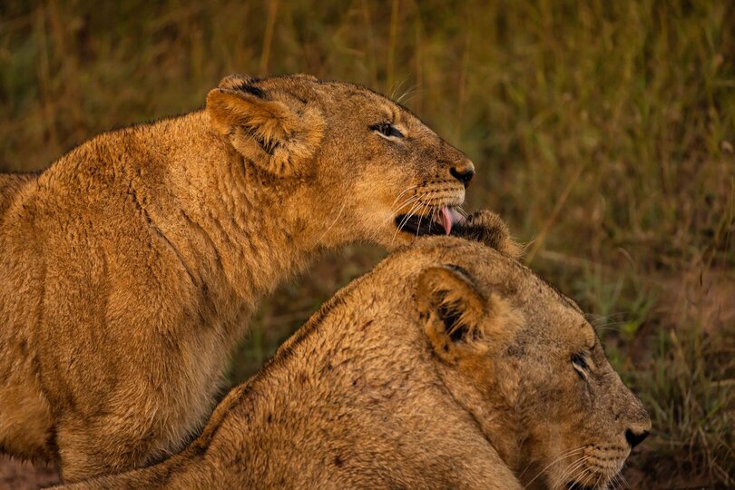 Ulusaba_Cliff 1030