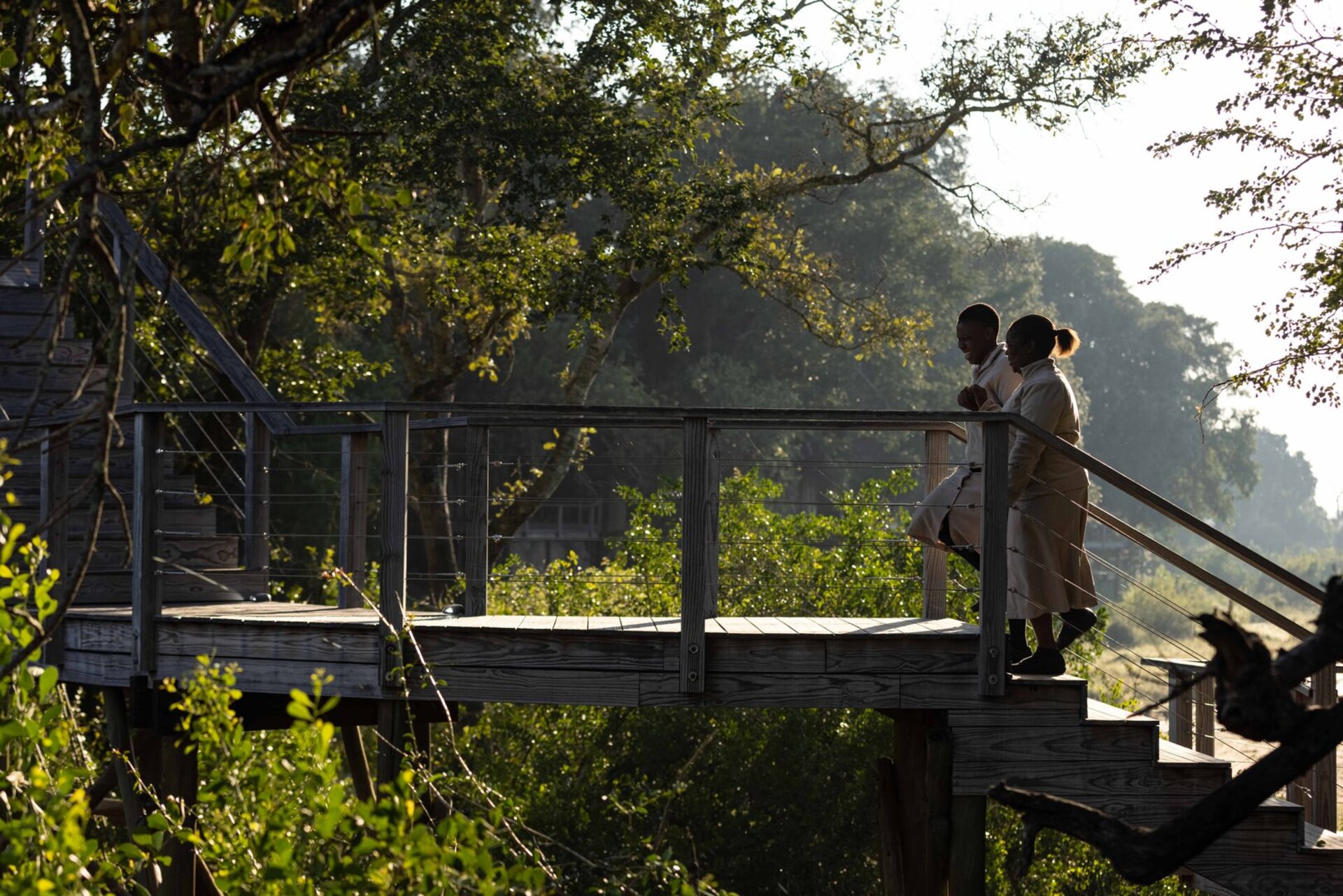 Tranquil Trails 1031