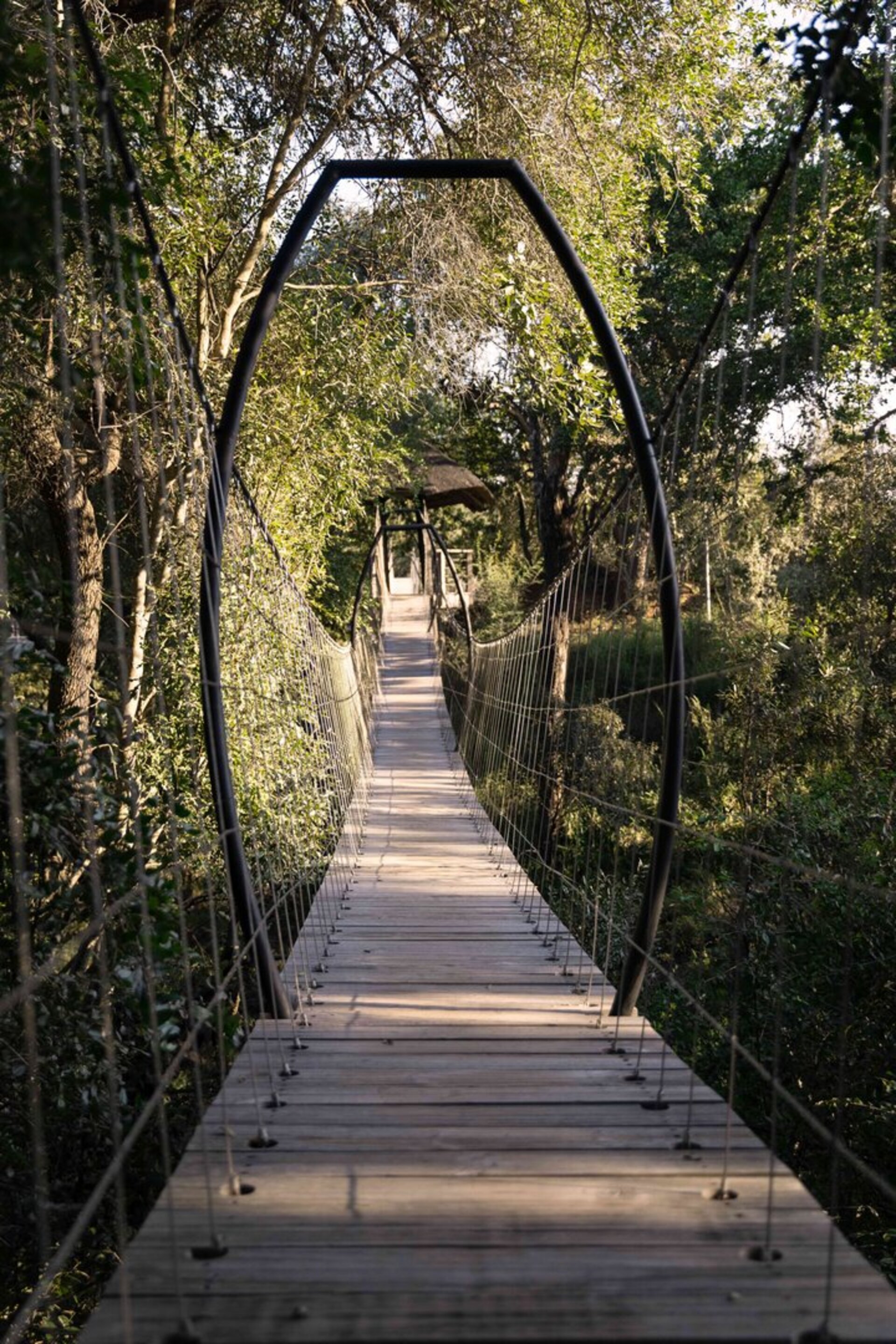 Tranquil Trails 1031