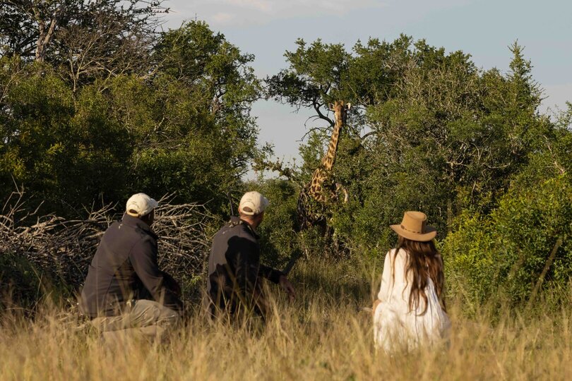Tranquil Trails 1031
