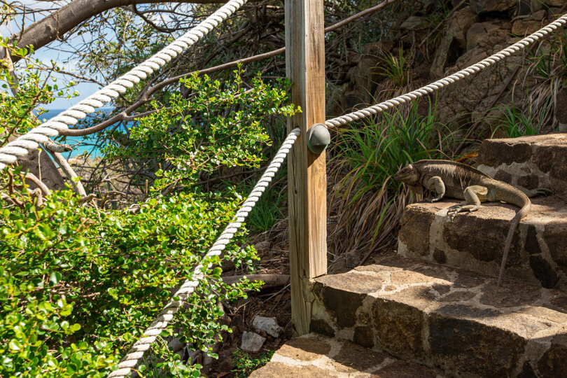 Oceanfront Hideaway 1010