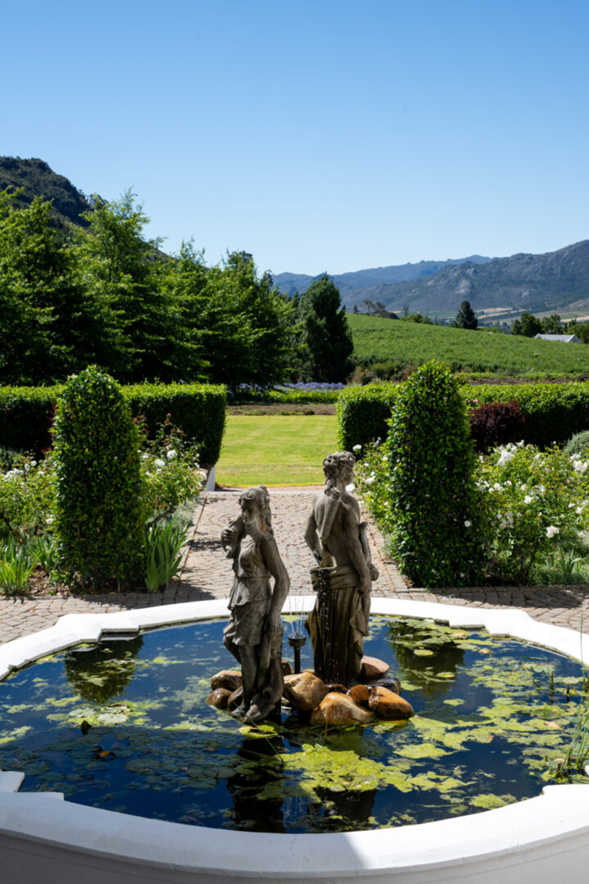 Cabernet Room with Private Terrace and Valley Vistas 1039