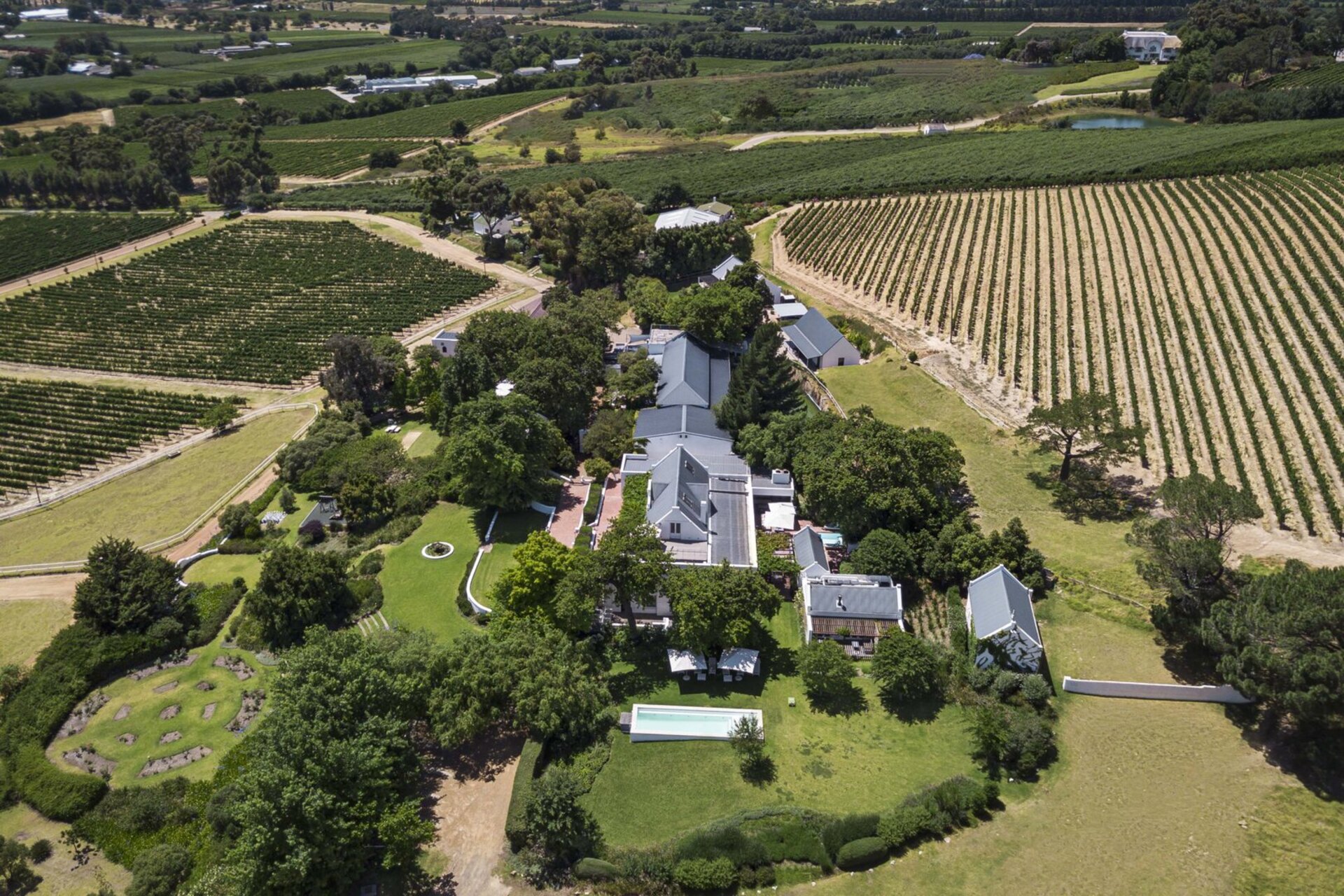 Cap Classique Vineyard Pool Suites with Private Pool 1043