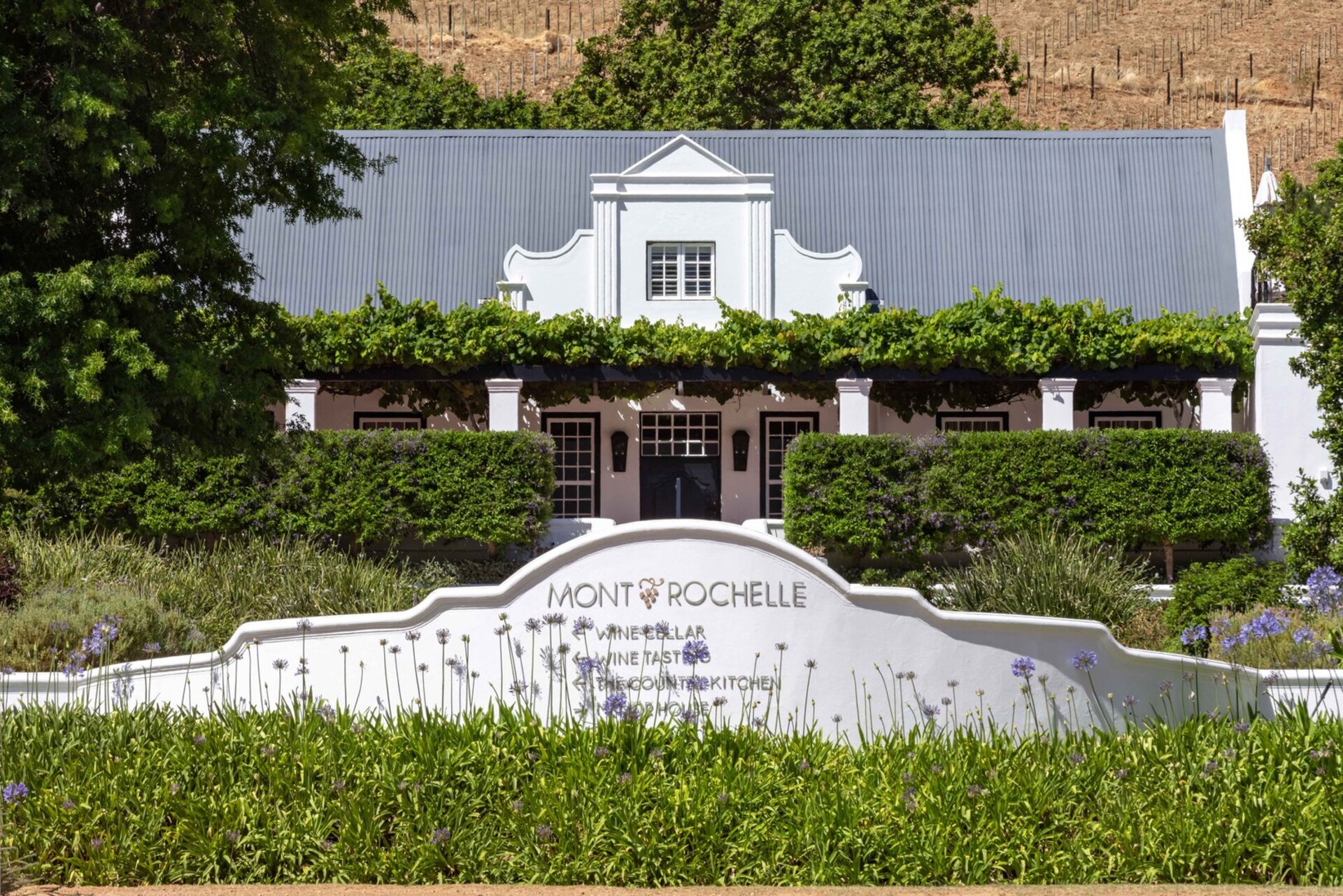 Cap Classique Vineyard Pool Suites with Private Pool 1043