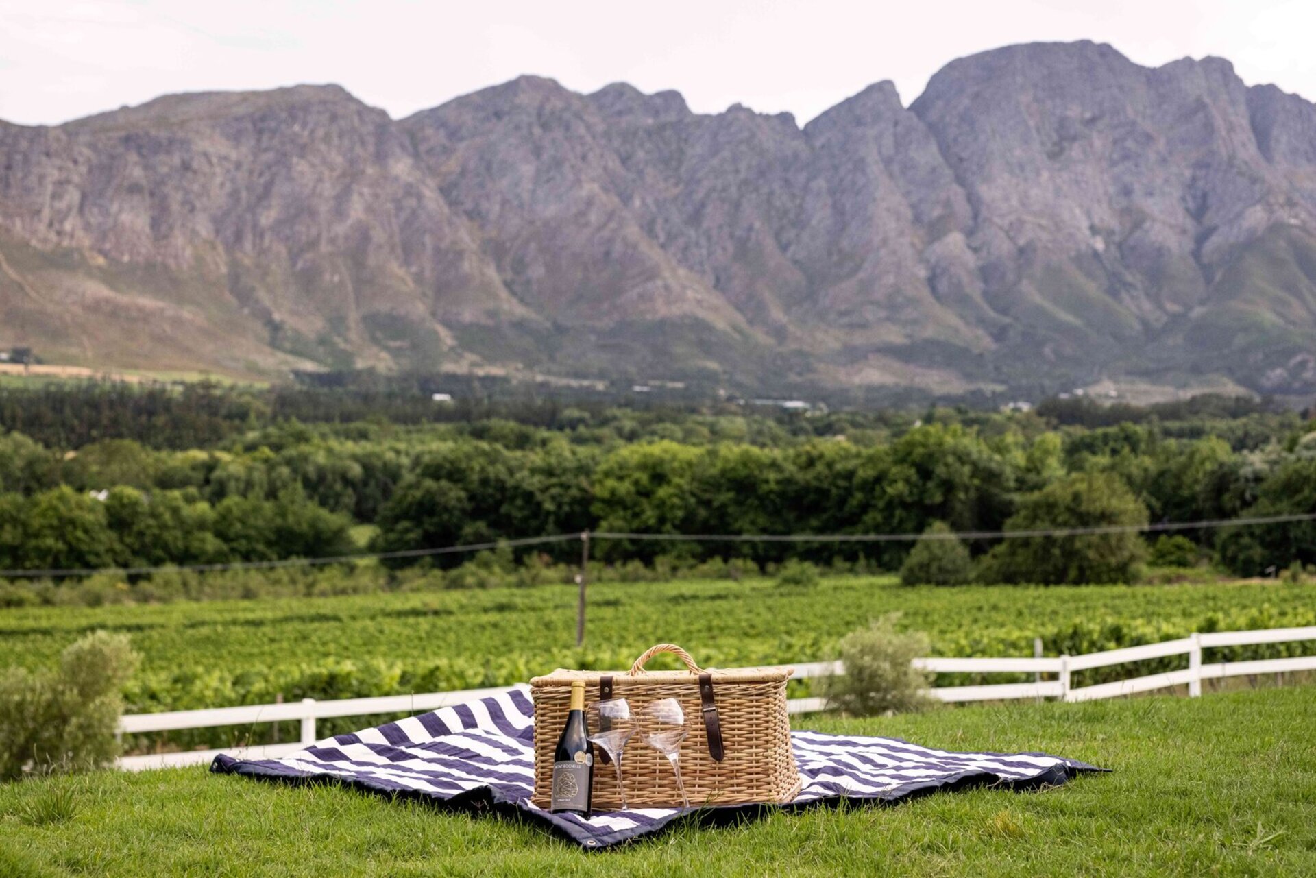 Cap Classique Vineyard Pool Suites with Private Pool 1043