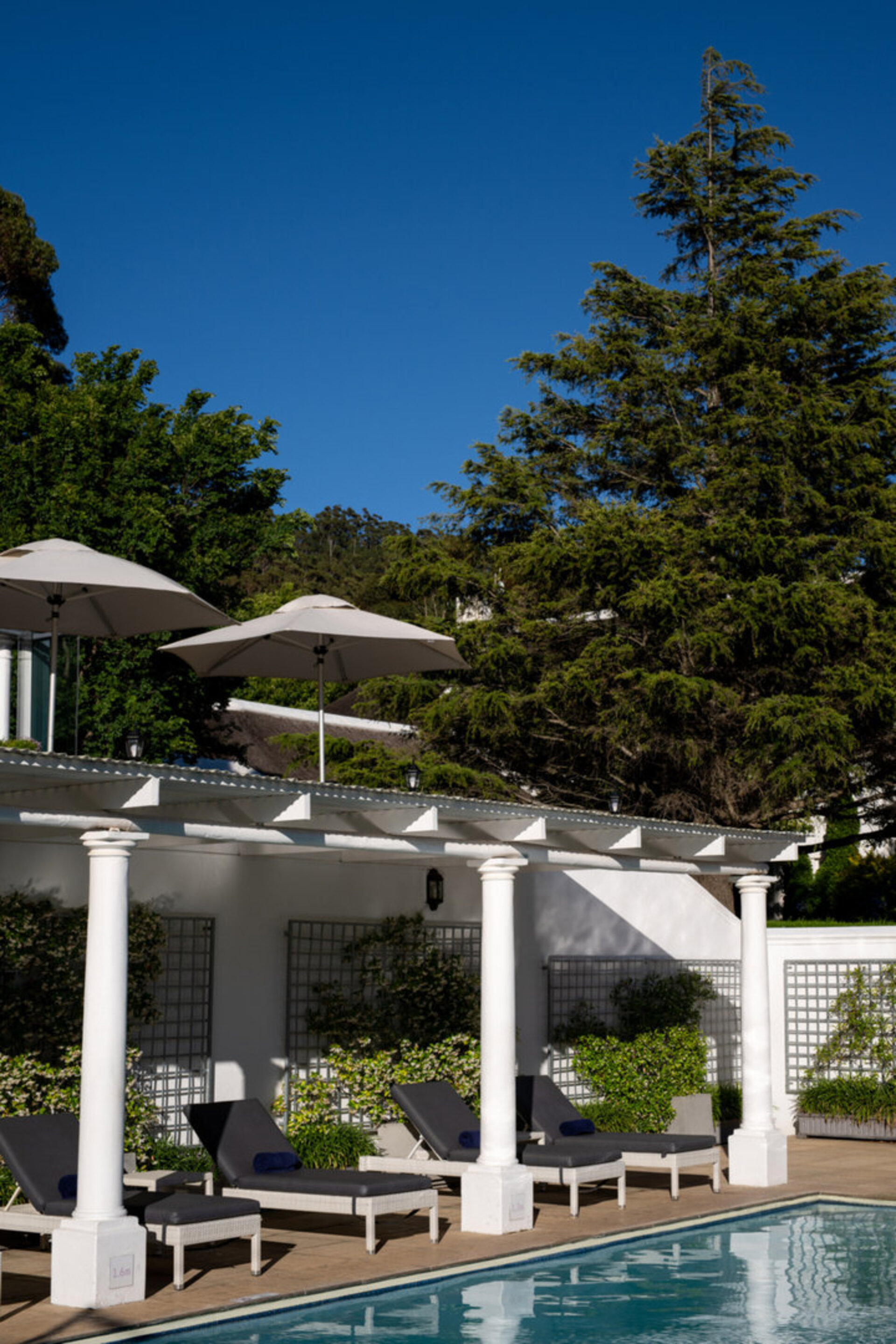 Cap Classique Vineyard Pool Suites with Private Pool 1043