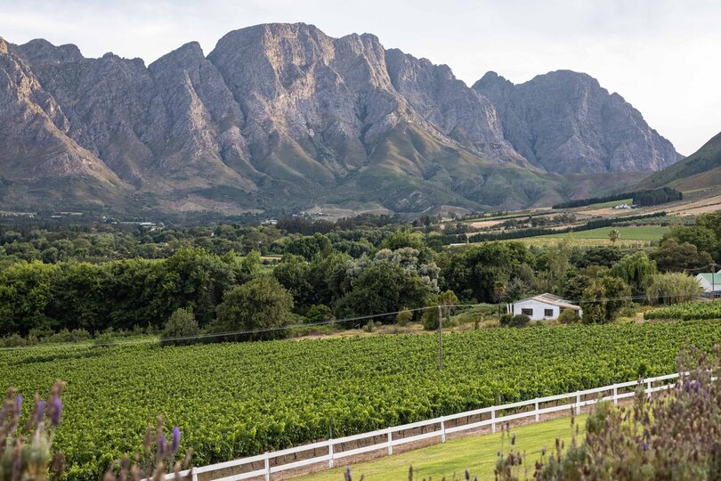 Cap Classique Vineyard Pool Suites with Private Pool 1043