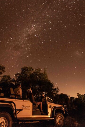 Secluded Treehouse Retreat with River & Bush Views 1057, -, South Africa