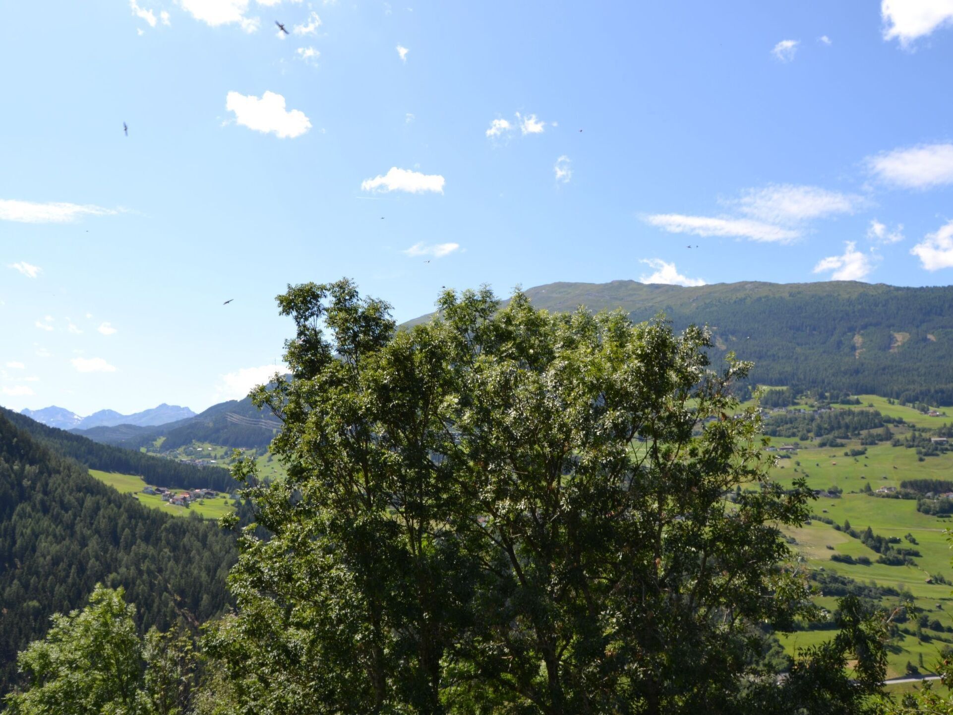 View