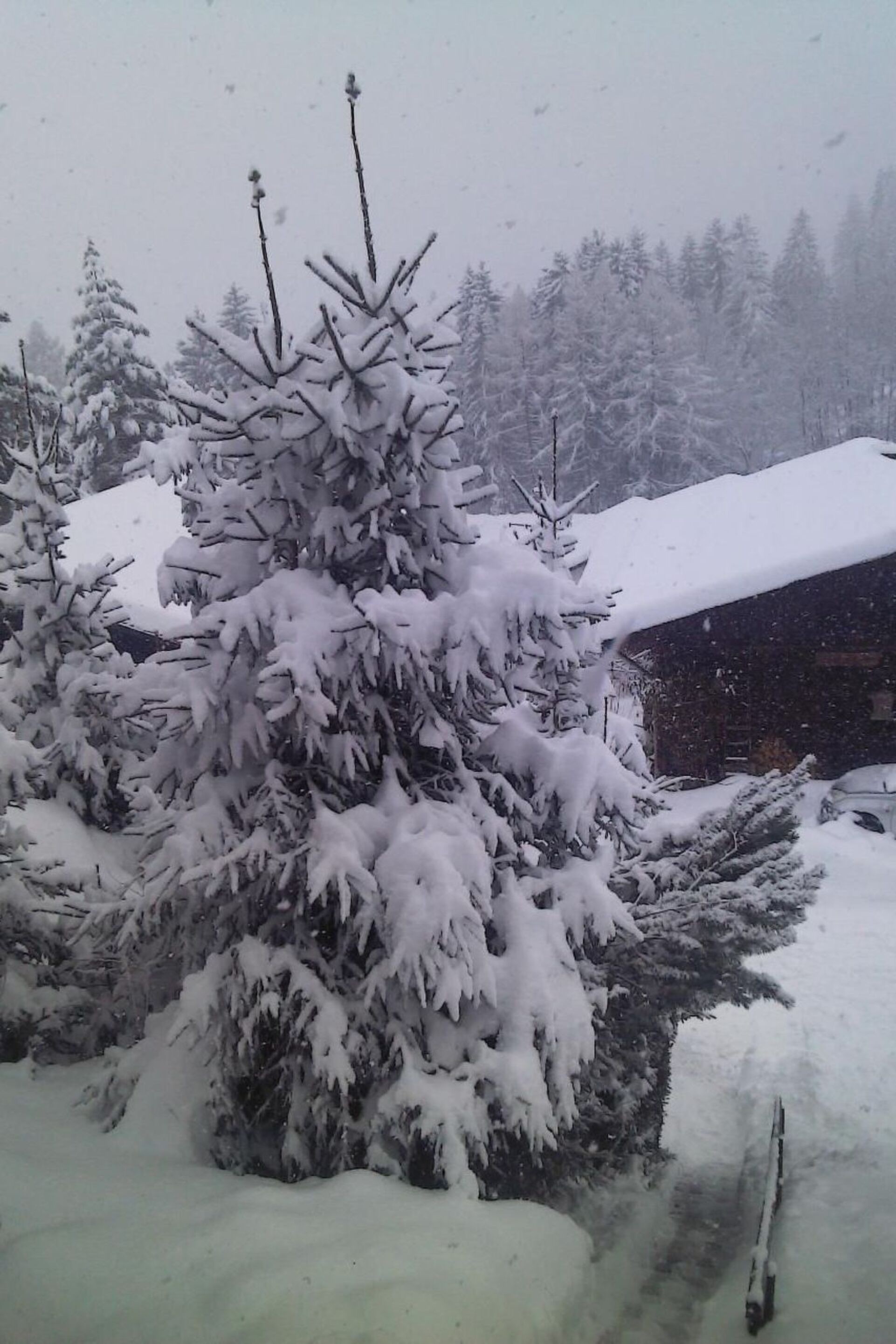 2-Bed Apartment with Mountain View in Murtal, Sleeps 4, 1117