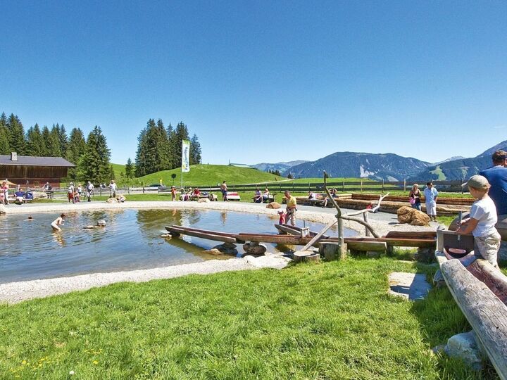 Stylish 4-Bed Apartment in Kitzbuhel, Sleeps 8, 1319