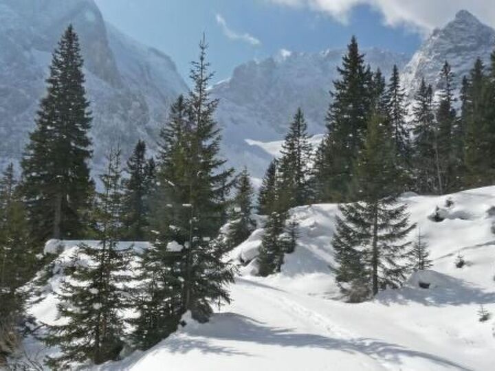 Spacious 1-Bed Apartment in Innsbruck-Land, Sleeps 3, 1340