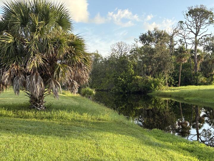 Small canal behind home